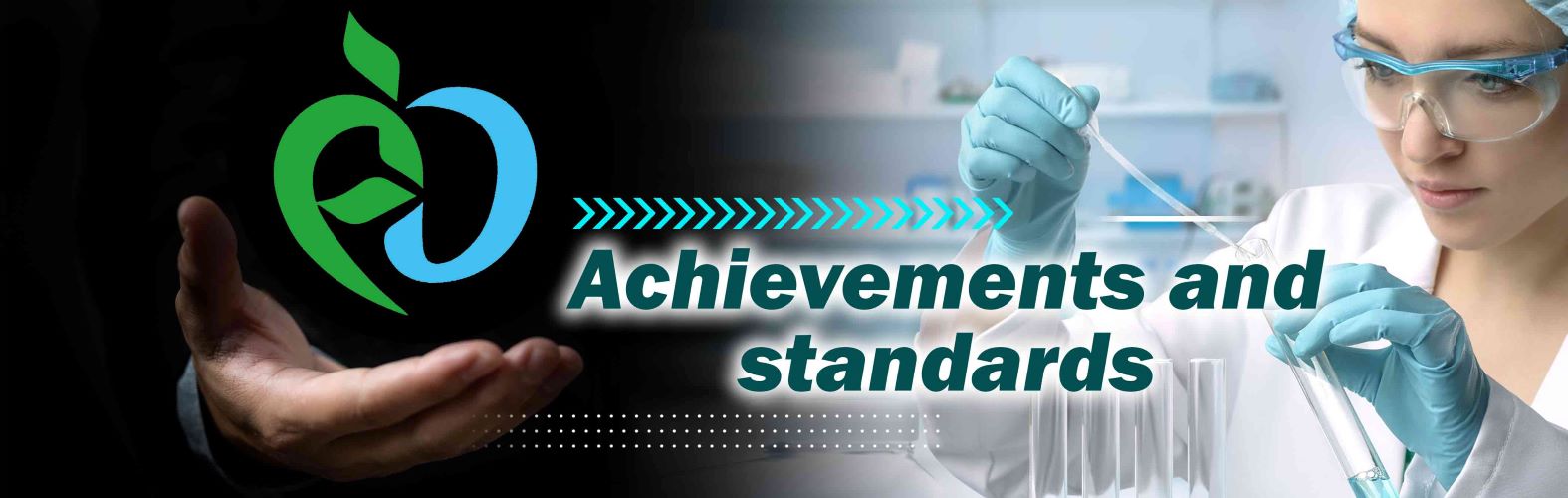 Achievements and standards